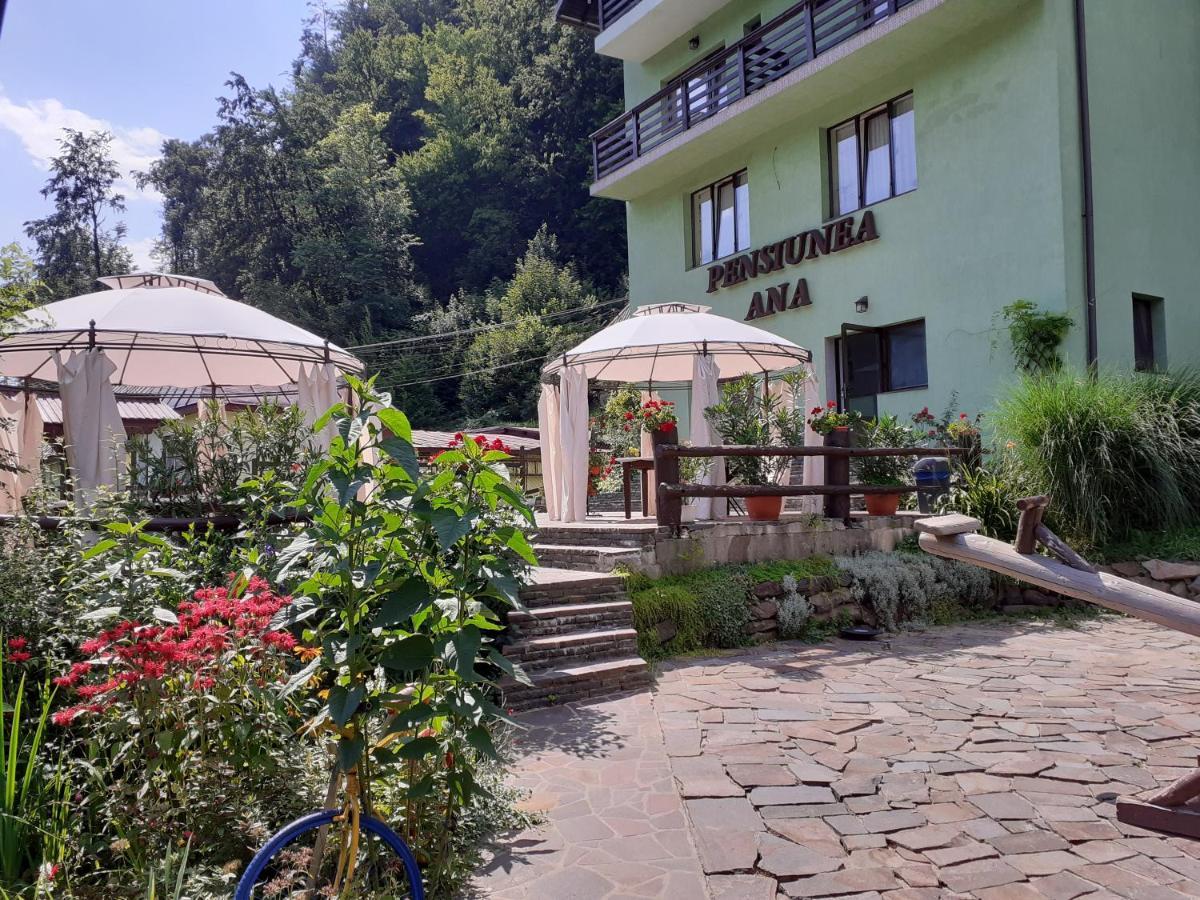 Pensiunea Ana 3* Cavnic